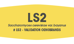 LS2